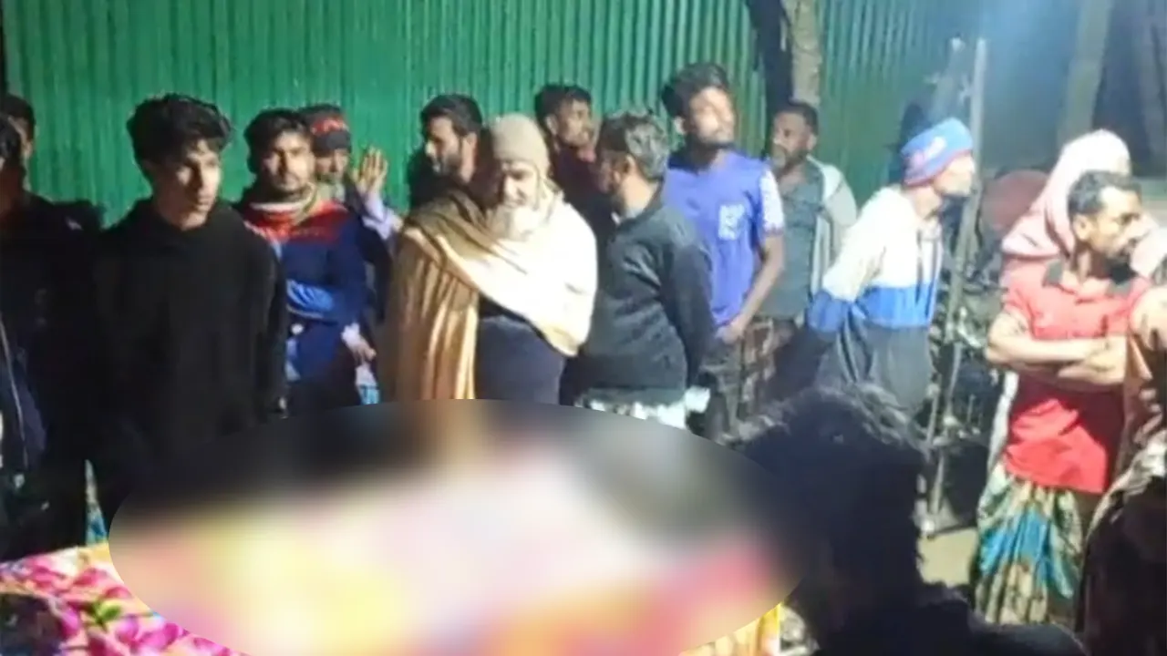 বিদ্যুৎস্পর্শে প্রাণ গেল মা-ছেলের