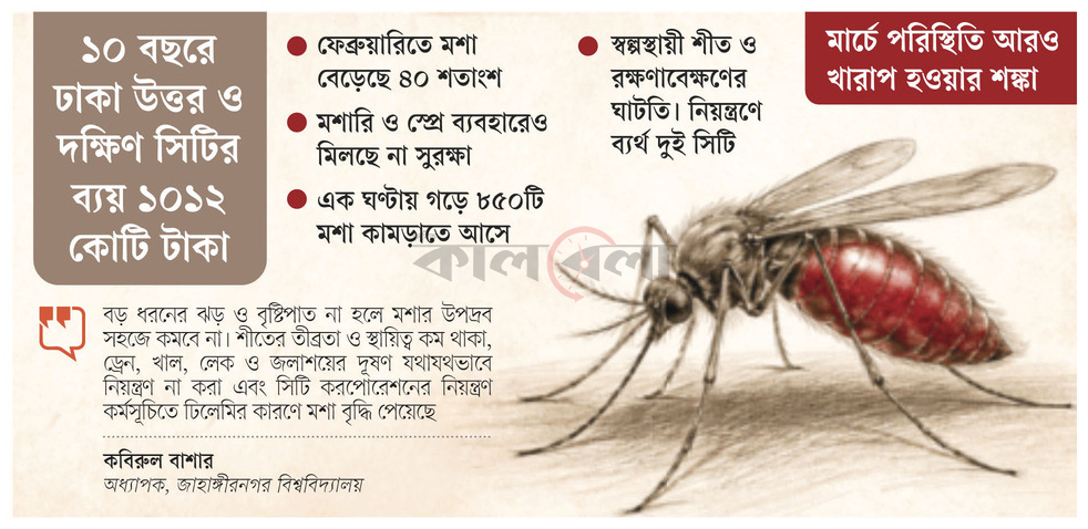 বড় ধরনের ঝড় ও বৃষ্টিপাত না হলে মশার উপদ্রব সহজে কমবে না