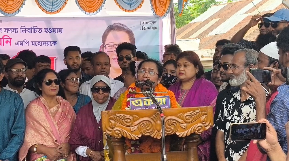 এই মঞ্চে যারা আসেননি তারা দলে ডাকাতির চেষ্টা করছেন: নিলুফার চৌধুরী