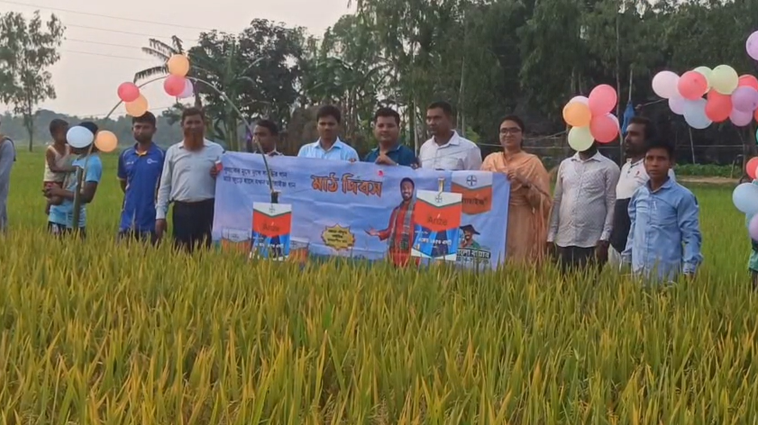 পঞ্চগড়ে উন্নত জাতের ধান বীজ এজেড ৬৪৫৩ এসটি'র মাঠ দিবস অনুষ্ঠিত