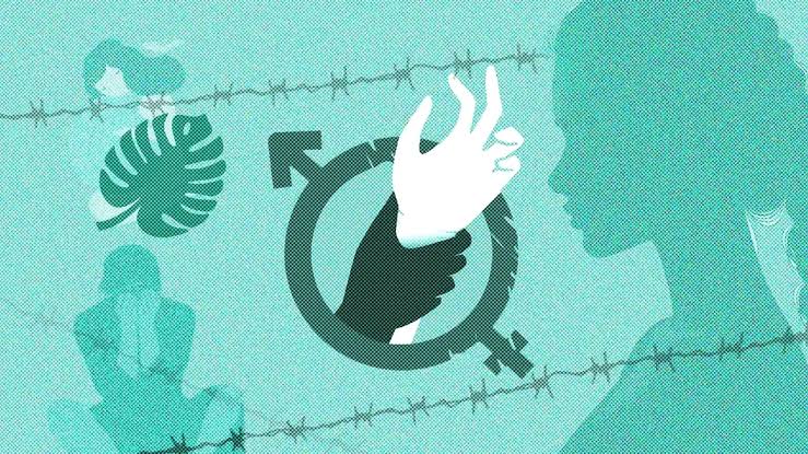 শেরপুরে ১২ বছরের শিশুর জীবন বিপন্ন: ধর্ষণের পর জোরপূর্বক গর্ভপাতের নৃশংসতা