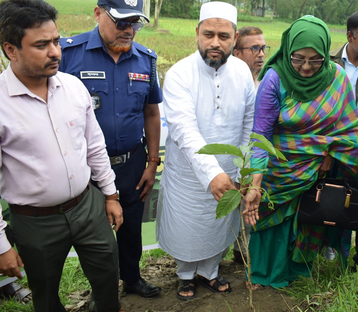 বৃক্ষরোপণ কর্মসূচিতে ঠাঁই পেল কৃষ্ণচূড়া, জারুল ও সোনালু