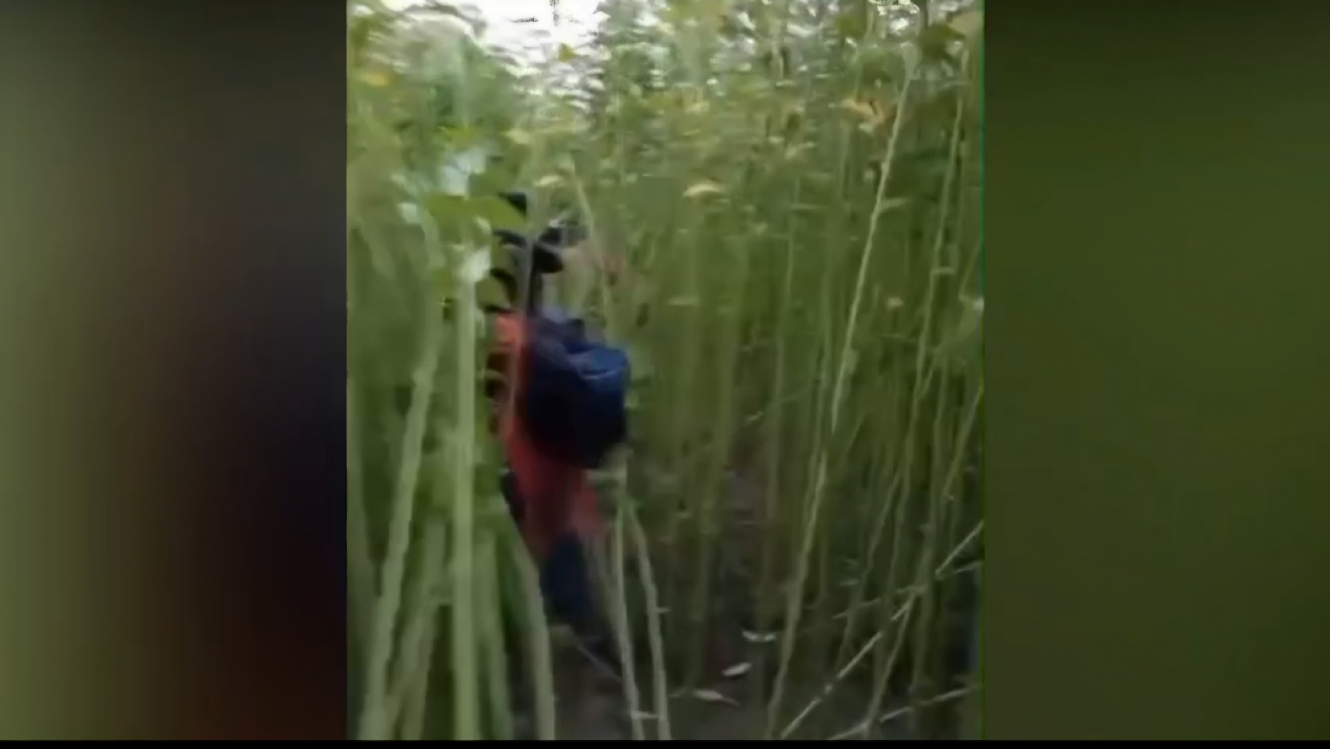 কুষ্টিয়া সীমান্তে ৮ জনকে পুশ ইনের চেষ্টা