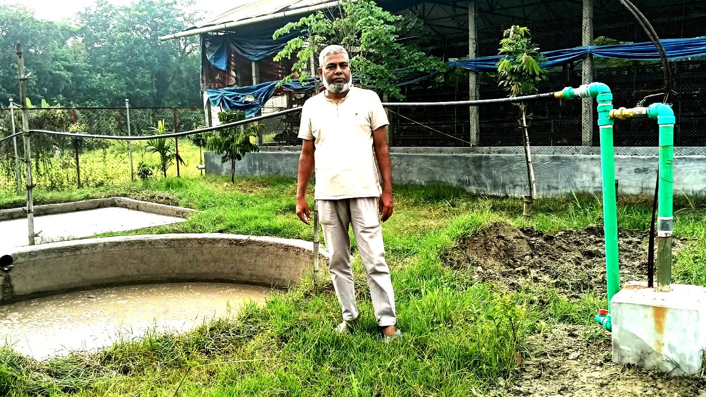 বিষ্ঠা থেকে বায়োগ্যাস, ২৭ পরিবারের রান্নার জ্বালানি এখন খামারেই