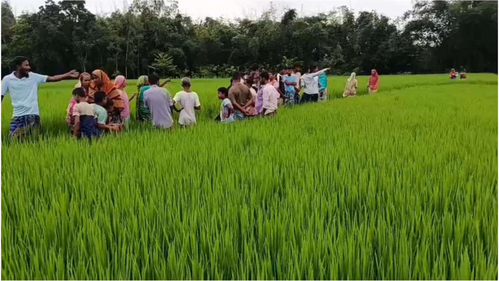 কৃষি জমির পাশ থেকে নারীর মরদেহ উদ্ধার