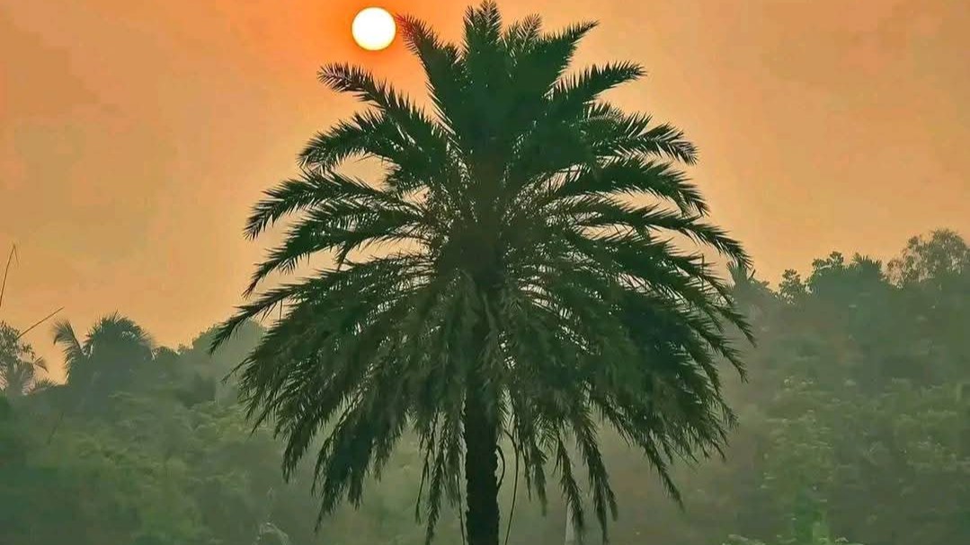 গরমের দাপট কমিয়ে তেঁতুলিয়ায় শীতের হালকা আমেজ