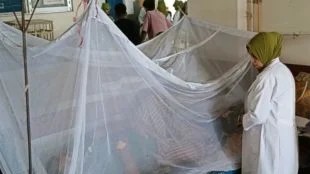 ডেঙ্গুতে আরও ১০ মৃত্যু, হাসপাতালে ভর্তি প্রায় ২ হাজার