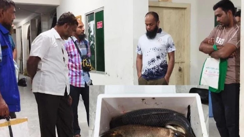 জিয়ানগরে সরকারি পুকুরের মাছ ধরার অভিযোগ খাদ্য কর্মকর্তার বিরুদ্ধে