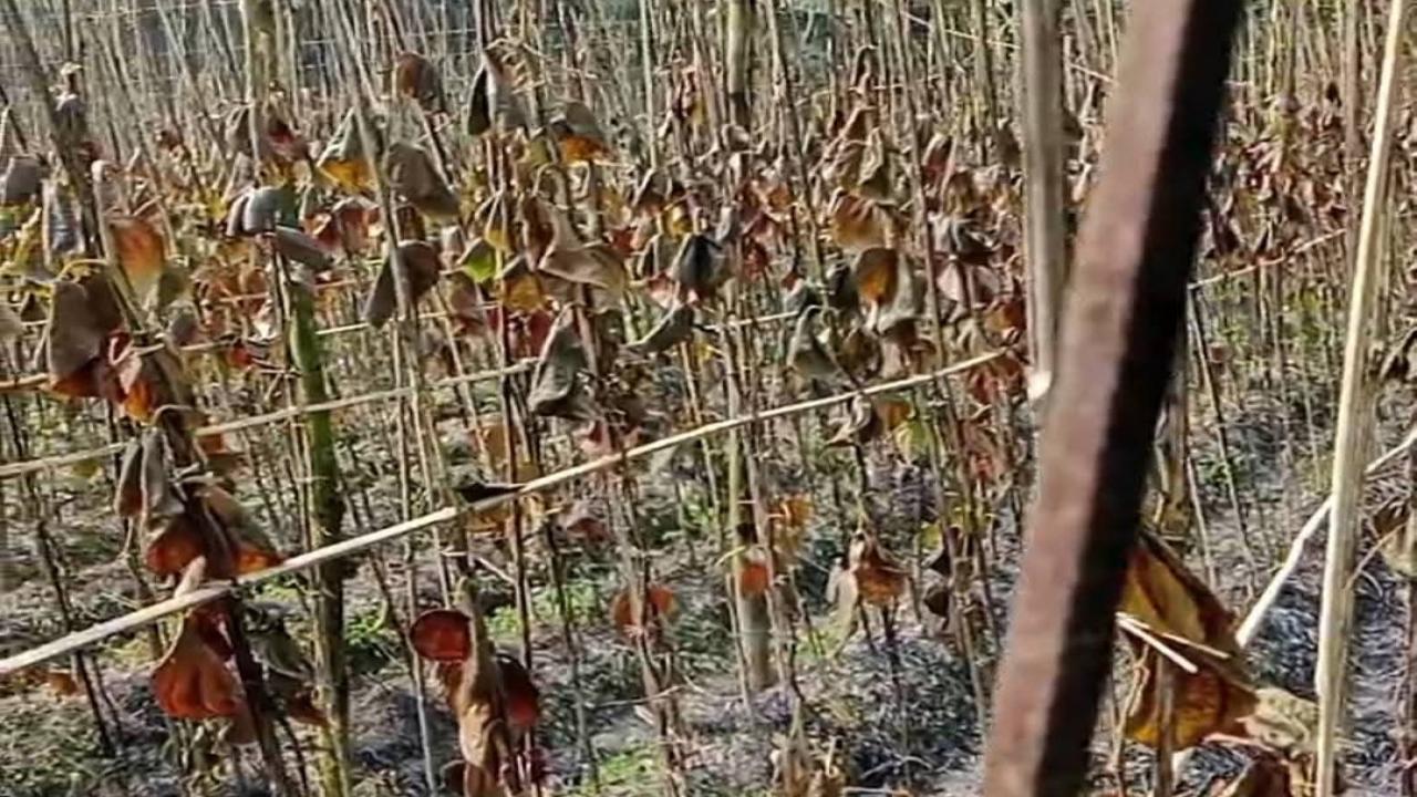 ছবি: প্রতিনিধি