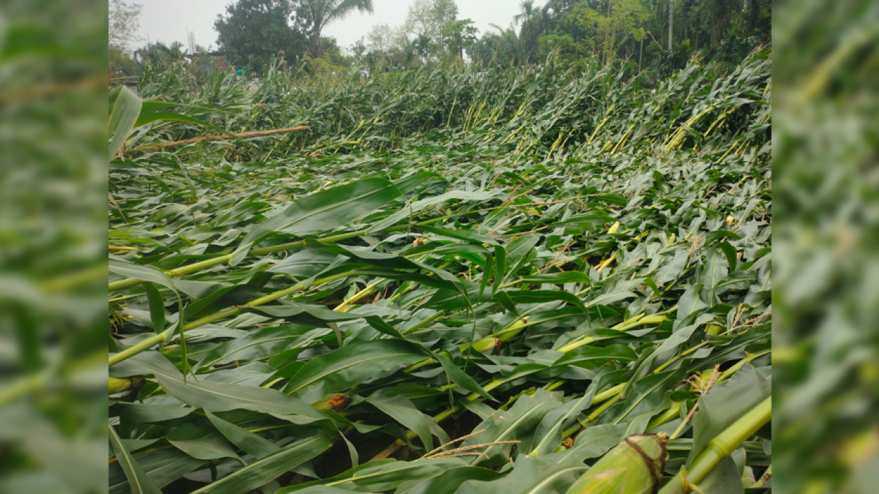 ছবি: প্রতিনিধি