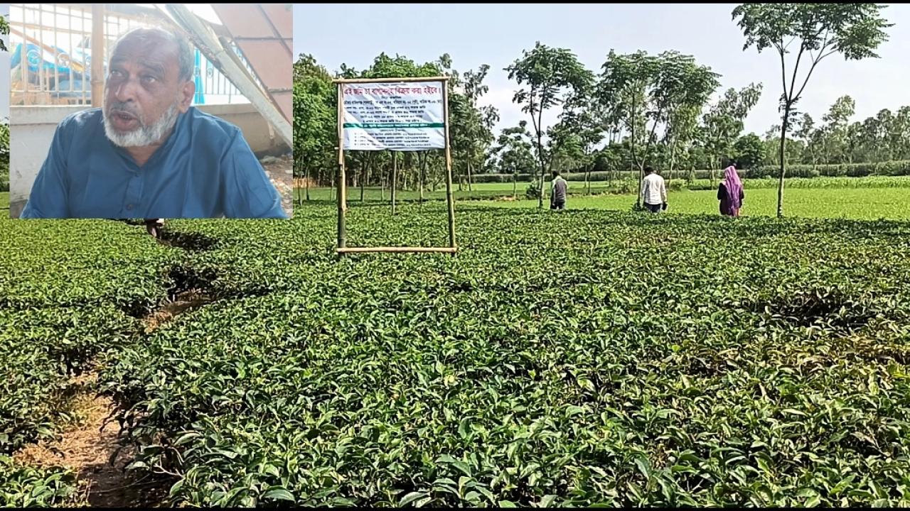ছবি: প্রতিনিধি