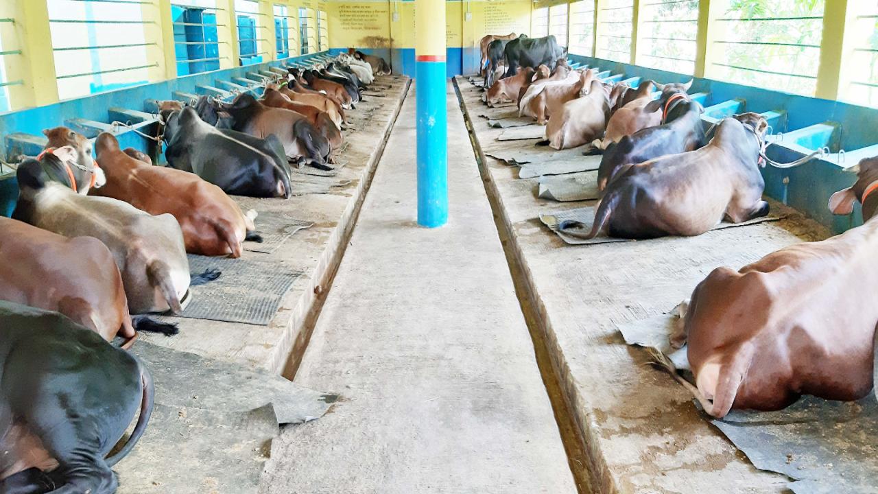 ছবি: প্রতিনিধি