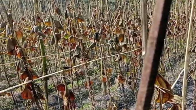 ছবি: প্রতিনিধি