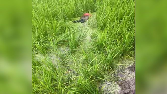 ছবি: প্রতিনিধি