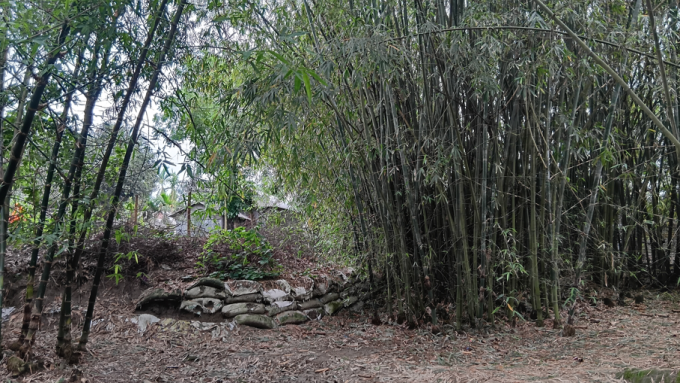 ছবি: প্রতিনিধি